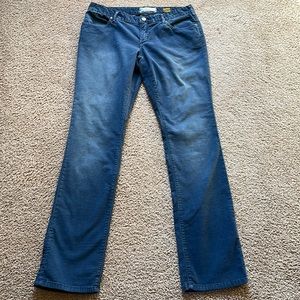 Anthropologie Pilcro and the Letterpress corduroy Vintage Slim pants